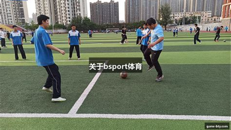 互动解说服务